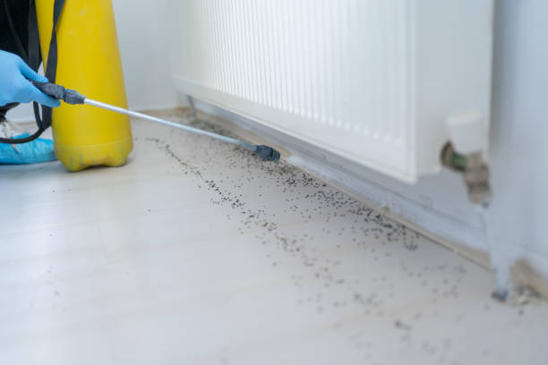 Insect Control in Cleveland Heights, OH
